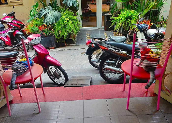 Sakura Hostel Saigon