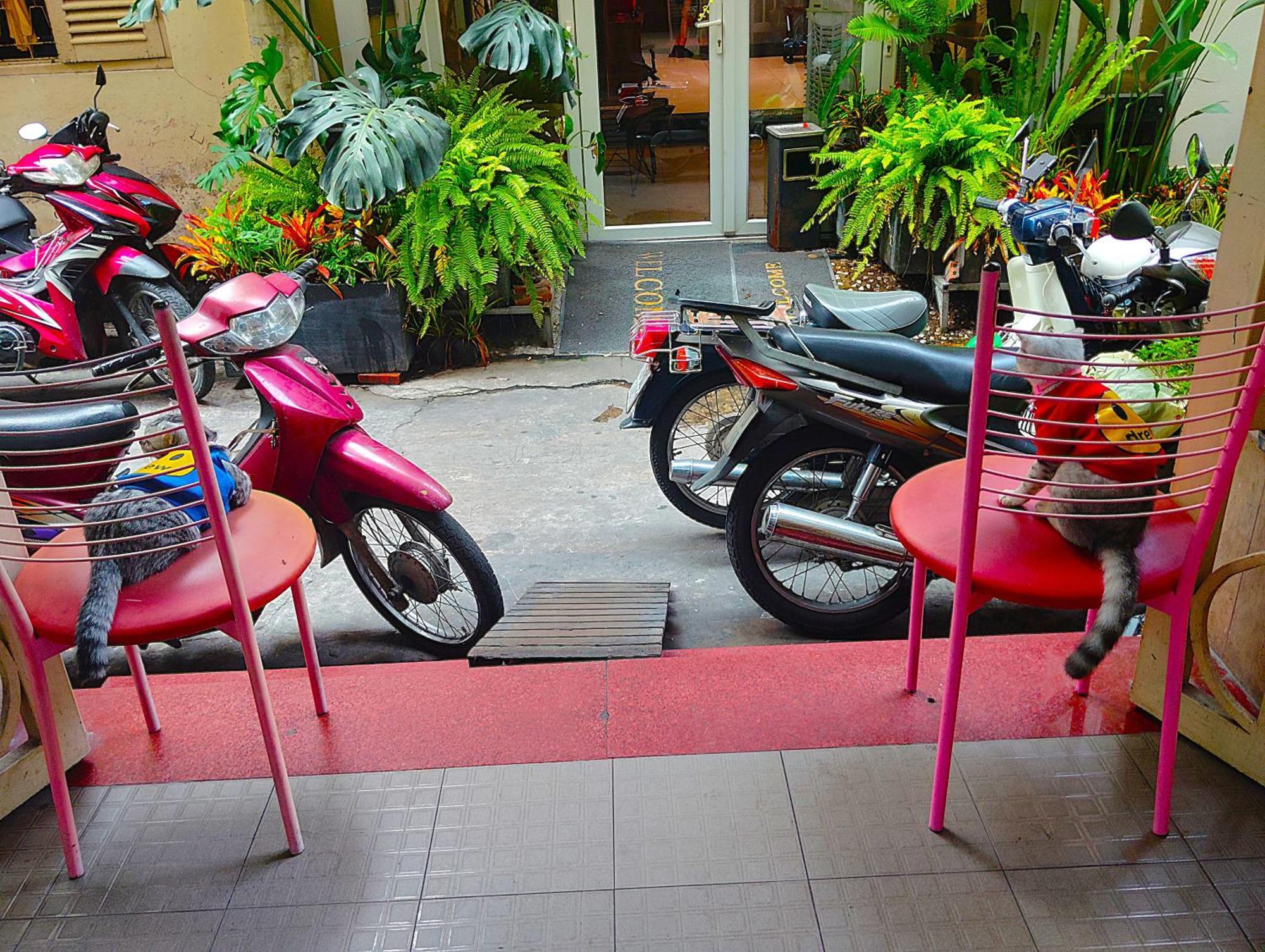 Khách sạn Sakura Saigon